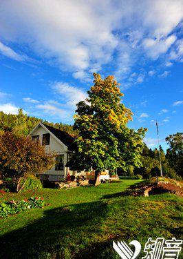 七十年的愛情，一輩子的遺憾