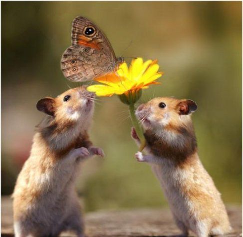 渺小而又偉大的愛(ài)情