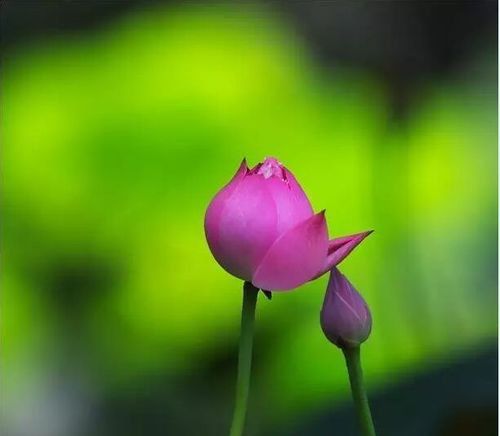 兩張紙幣的愛(ài)情（感動(dòng)好文！）