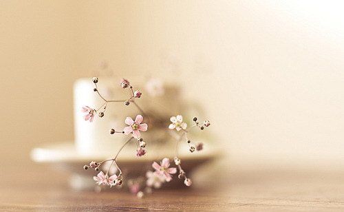 手術(shù)臺(tái)上，老公放棄了我