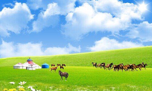 我是騎者，策馬向愛