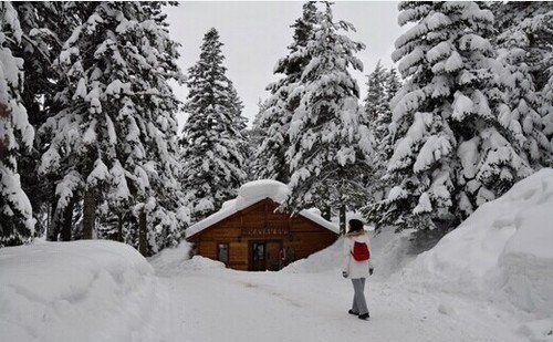 我愿陪你一路到白頭