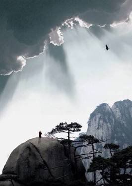 葉子的離開，并不是風的追求，更不是樹的不挽