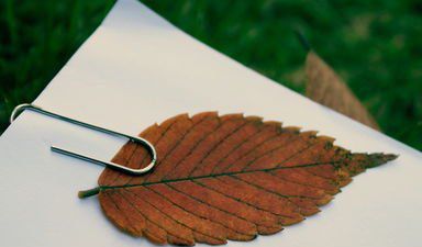 時(shí)光終于泄了密