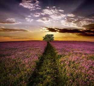 縱有疾風(fēng)起，人生不言棄