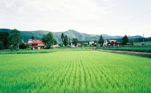 很簡單的一個故事，看完你會懂愛的真諦！