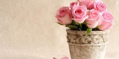 陪你風(fēng)卷殘荷