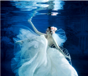 舍不得忘記你的魚