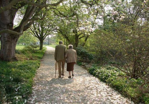 那些感動愛的瞬間