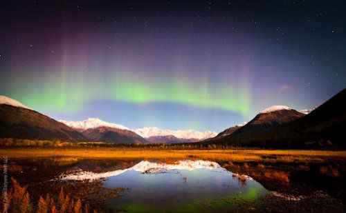 許鹿希：有一種愛(ài)情叫“國(guó)家機(jī)密”