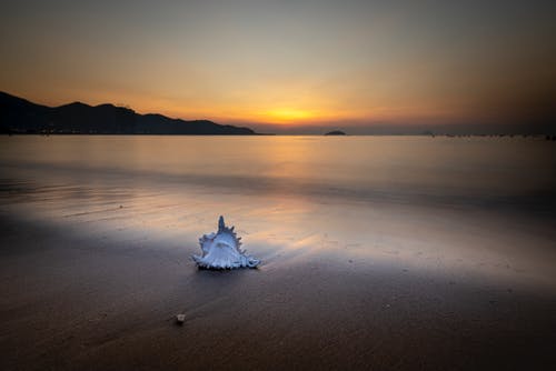 人教版五年級上冊八單元作文我愛看的革命影視作品《紅巖》