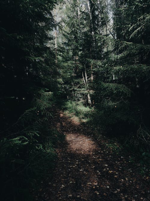 小學(xué)寫“照片作文”要注意什么 小學(xué)寫“照片作文”要注意什么