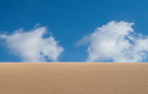 姐姐生日溫馨祝福語(yǔ)大全