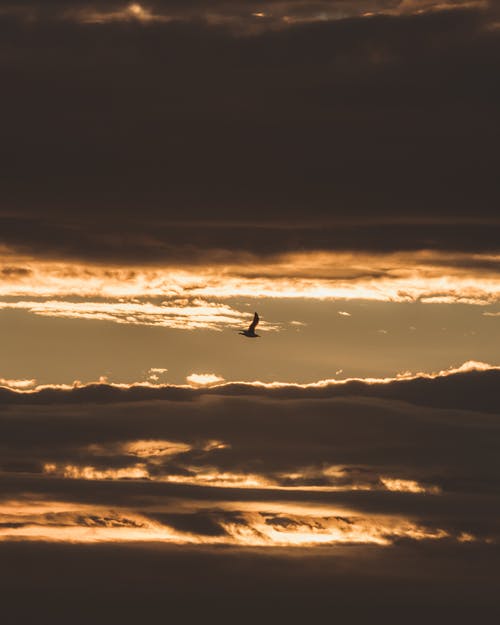 屈原《九歌·禮魂》詩詞鑒賞