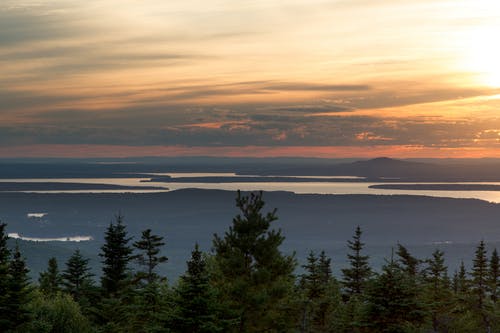 精選圣誕節(jié)祝福語合集46句