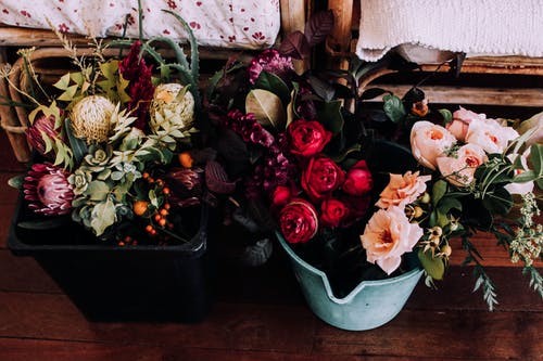 寫作基礎(chǔ)：寫作“四不”原則