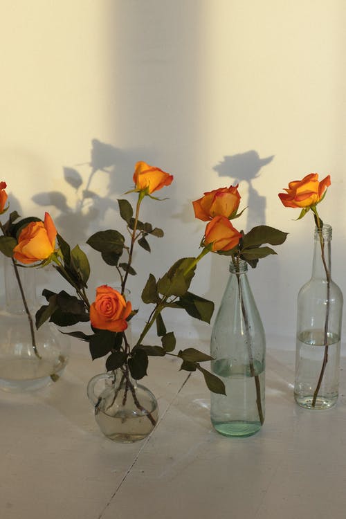 六元錢買下愛的美文