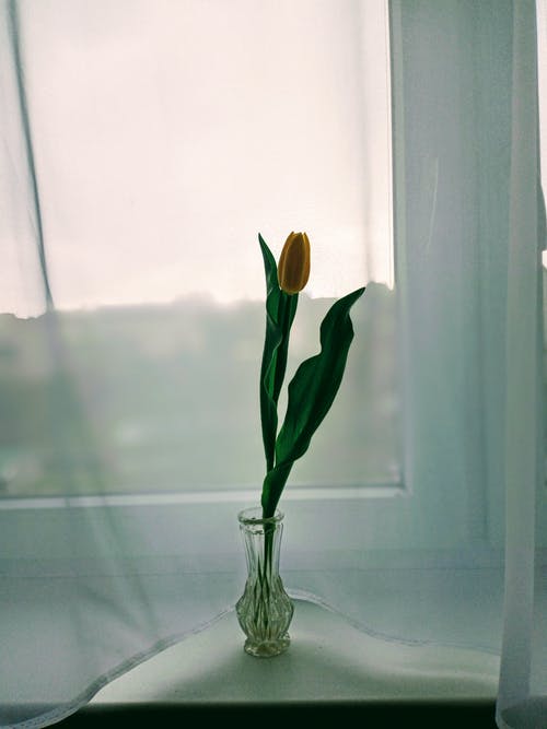 【合集】關(guān)于雨的詩歌10篇