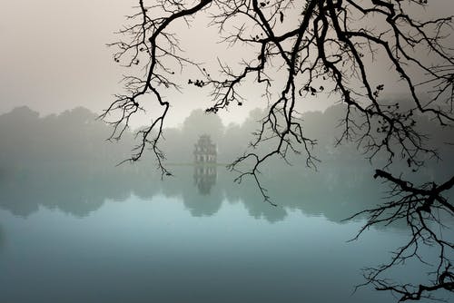 2020年優(yōu)美的婦女節(jié)祝福語微信合集44句