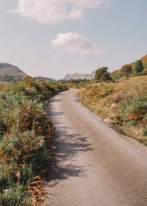 熱門重生之?dāng)〖易有≌f(shuō)李秀林明美在線閱讀