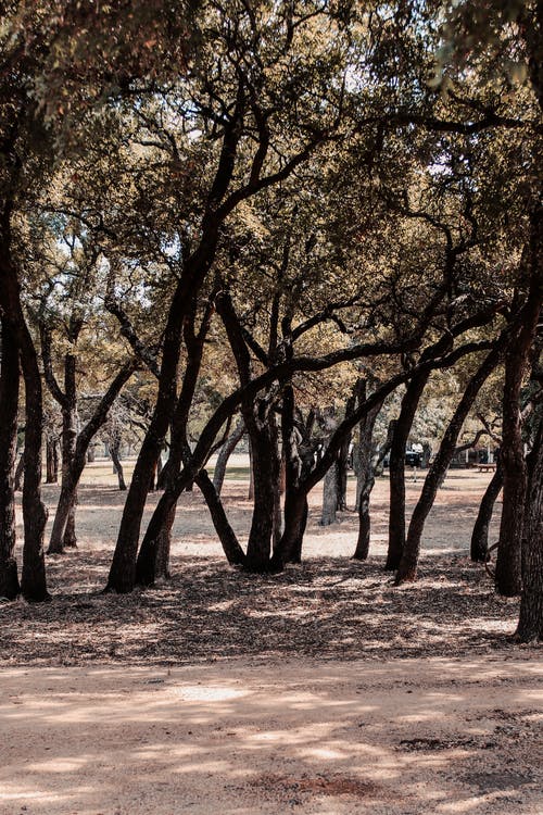 容易用錯的成語379例之R