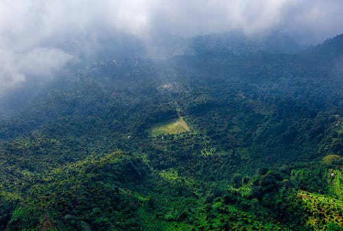 現(xiàn)代詩歌特點(diǎn)及寫作方法