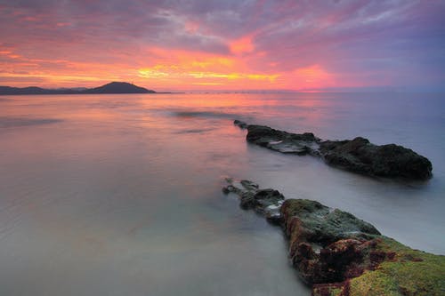 呂安簡(jiǎn)傲文言文翻譯