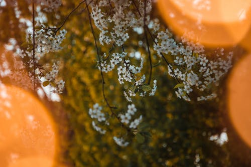 萬界奶茶店小說by溺島北月玲兒無錯版閱讀