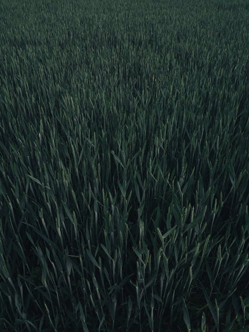 老朋友之間的相處之道