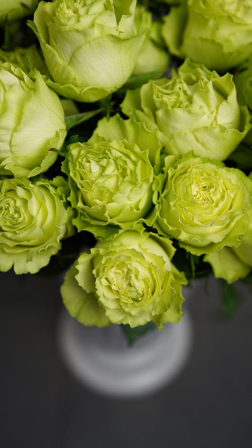 五年級寫人作文我的火苗爸爸