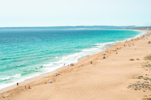 高一歷史教學反思隨筆
