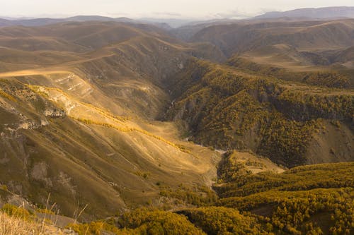 趙小花賀謙之賀元小說(shuō)抖音穿越農(nóng)家完結(jié)版閱讀 趙小花賀謙之賀元小說(shuō)抖音穿越農(nóng)家完結(jié)版閱讀