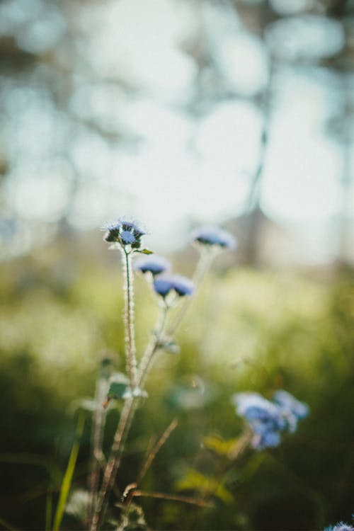 大染坊經(jīng)典臺(tái)詞