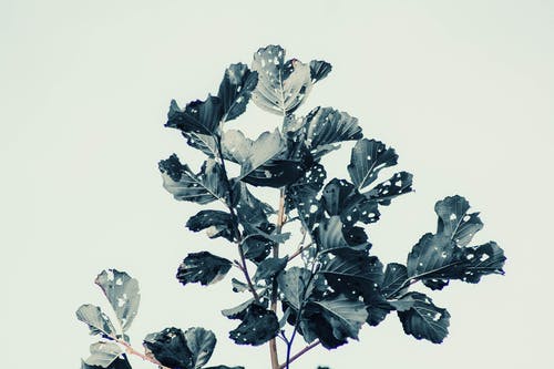 證道小說爽文古今王泉無錯版閱讀