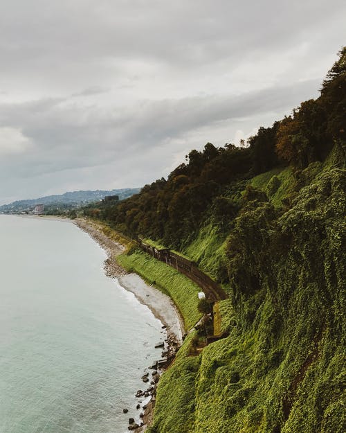 閱讀，我該拿你怎么辦？