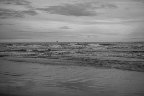 帶著七個(gè)小姐姐荒島求生陳風(fēng)洛洛小說(shuō)完整版閱讀