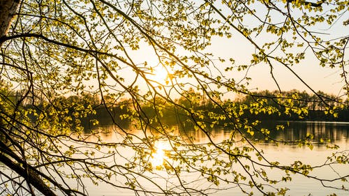 《無愛可訴》影評精選