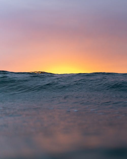 有關小學日記范文集合8篇