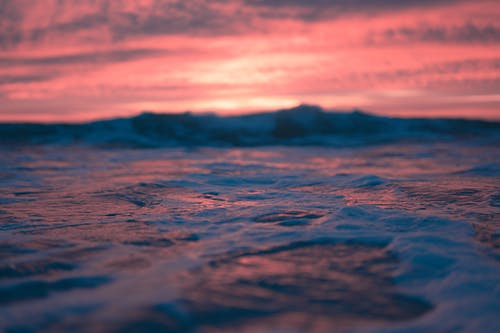 高一語文文言文《勸學(xué)》翻譯