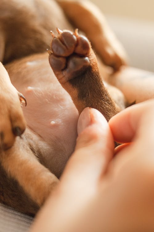 新生代學(xué)生勵志語出爐