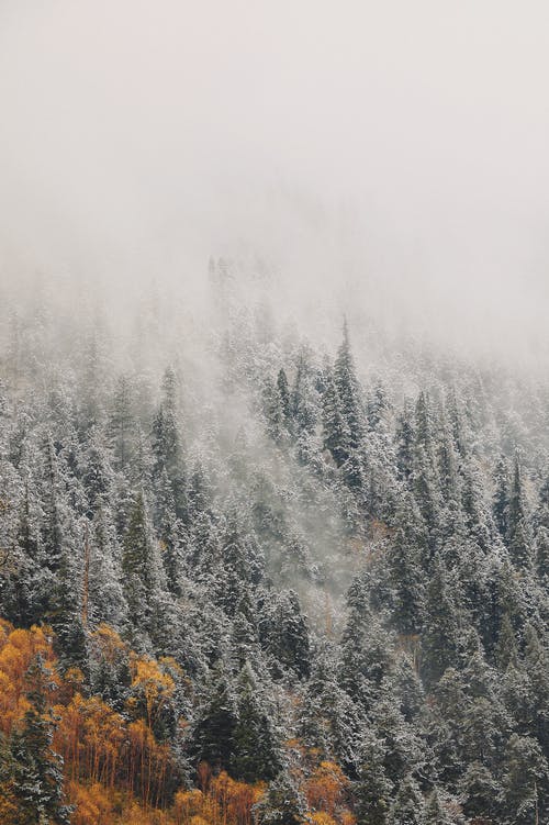 祝小滿快樂的祝福語集合53句