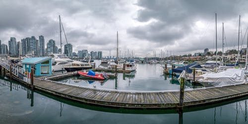 晨跑日記范文8篇