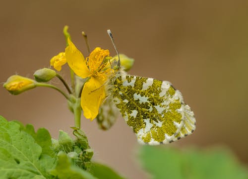 民間禁忌水深勿近小說肖不凡劉老六章節(jié)閱讀 民間禁忌水深勿近小說肖不凡劉老六章節(jié)閱讀