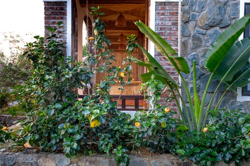 葬龍窟靈異小說(shuō)陳解陽(yáng)方婷無(wú)彈窗閱讀