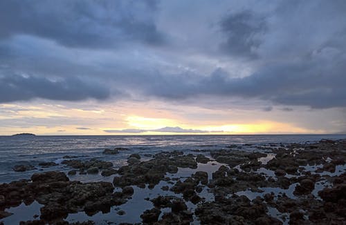 有關(guān)高中周記青春勵志7篇