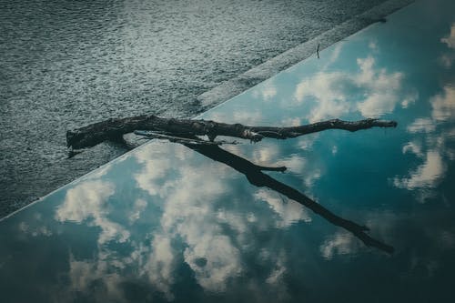 開學隨筆初三作文