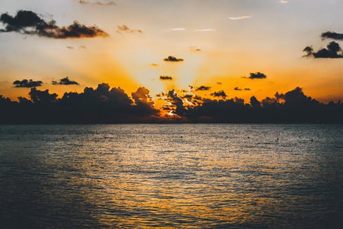 關(guān)于描寫春的詩(shī)句 關(guān)于描寫春的詩(shī)句