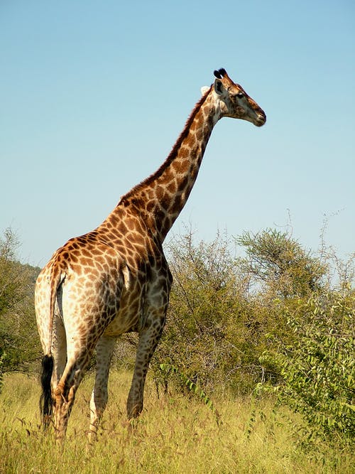 高中周記青春勵志集合5篇