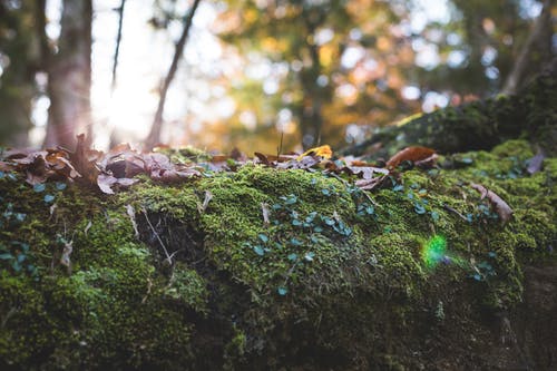 2020年表達大暑快樂的祝福語合集35句