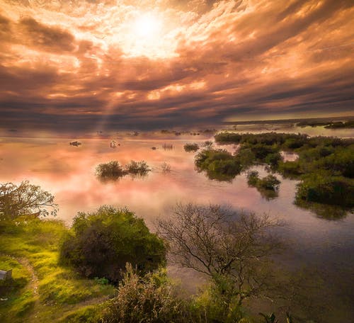 有關(guān)立春的詩句 有關(guān)立春的詩句